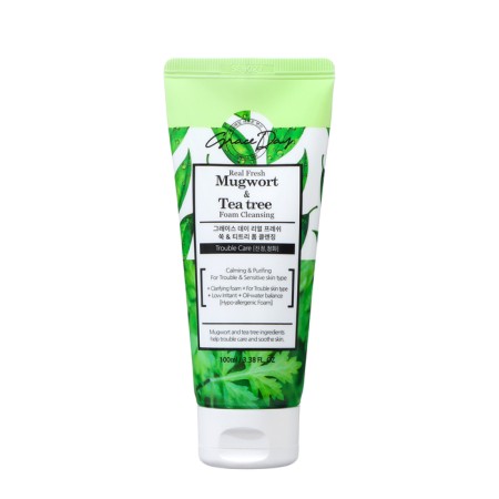 Grace day face foam, refreshing and cleansing, with wormwood and tea tree, 100 ml-1