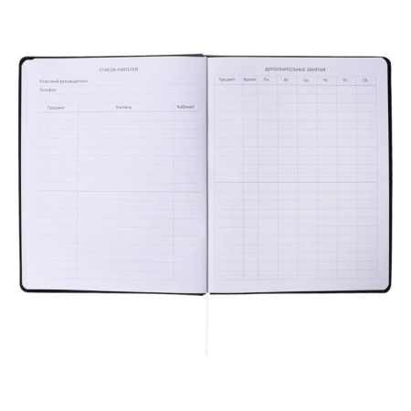 Universal diary for grade 1-11 Tokyo Girls, solid cover, artificial leather, foam rubber, liesse, 80 g/m2-6