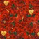 Paper Packer Glossy "Roses for you" 70 x 100 cm