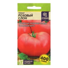 Seeds Tomat 