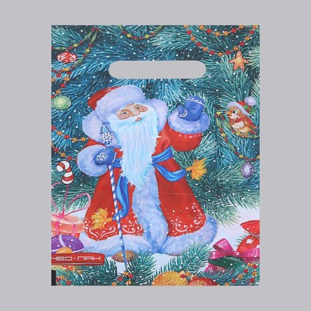 Santa Claus package, polyethylene with a cut pen, 20 x 30 cm, 30 μm