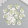 Buttons wood for creativity 2 punctures "succulent in a pot" set 20 pcs 1.8x2.5 cm