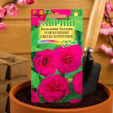 Flower seeds Balzamin Waller "Temptation of light purple" F1, o, 4 pcs.-2