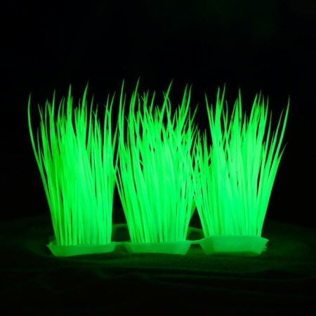 The artificial aquarium, luminous plant, 9 cm, green-5