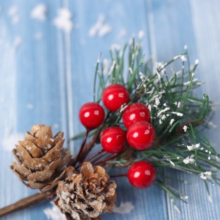 Decor "Winter Dreams" bump, berries of needles, 14 cm-2