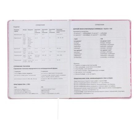Universal diary for grade 1-11 Kitty, hard cover, artificial leather, foam rubber, lies, 80 g/m2-8