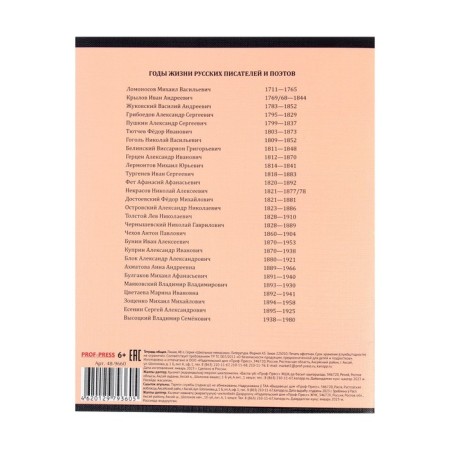 A notebook 48 sheets in the line school memasics "Literature", cover coated cardboard, embossing canvas, OFSET block-3