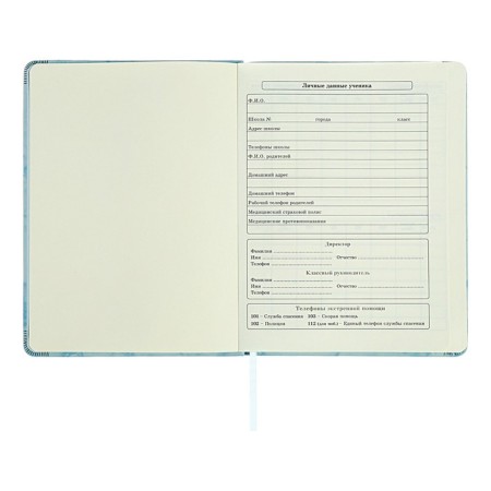 Diary 1-11 grade "Blue marble", artificial leather, a solid cover with embossing, with liesa, 48 sheets-4