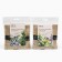 A set of jute washcloths with herbs 2 pcs "coniferous and general strengthening" Dobroparov