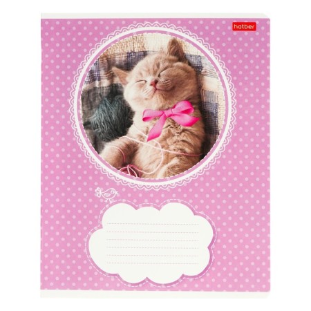 Notebook 18 sheets in the Kitty line, mix-2