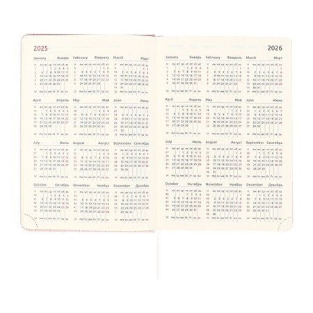 Dated diary 2025 A5 168 sheets, Devente.Barbara, a solid cover to leatherette with foam, praise, perforation, lies, block 70, pink-10