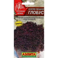 Basil seeds of the vegetable 