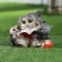 Garden Figure "Owl with Oblits and Book" 17x15cm