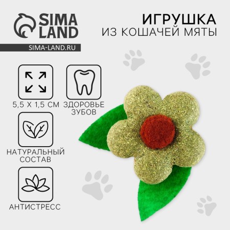 Cat toy "Flower" from cat mint, 5.5 x 1.5 cm