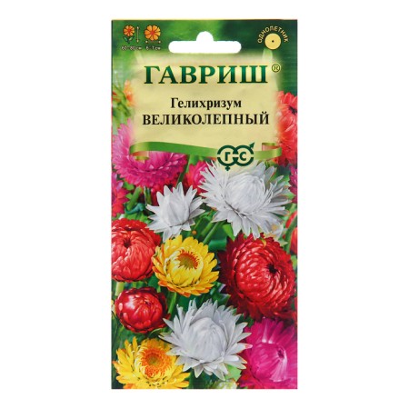Seeds Helichrizum "magnificent", 0.1 g