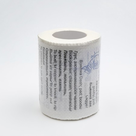 Souvenir toilet paper "Russian-English phrasebook", 1 part, 9x10x9 cm-4