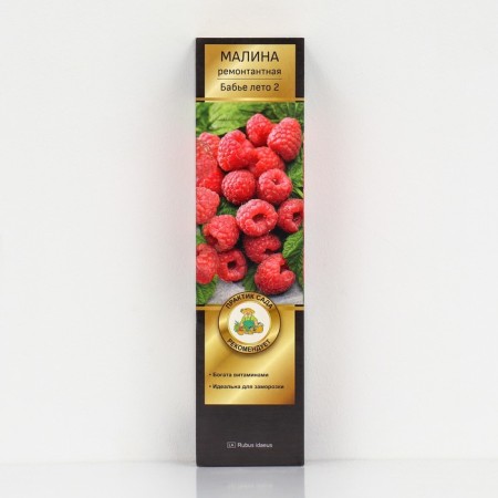 Raspberry repair varieties "Babier Summer 2", 1 pc, tube, spring 2025