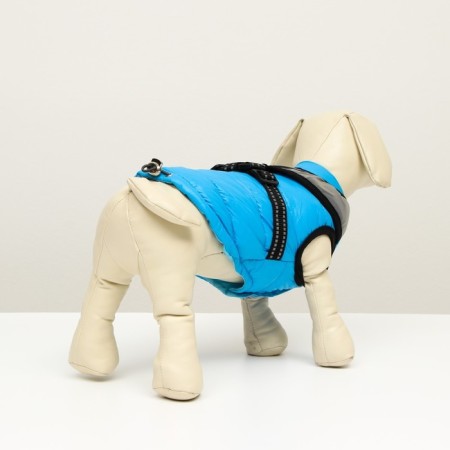 Jacket for dogs with a reflective harness, size 16 (DS 36, OG 46, Osh 35), Blue-2