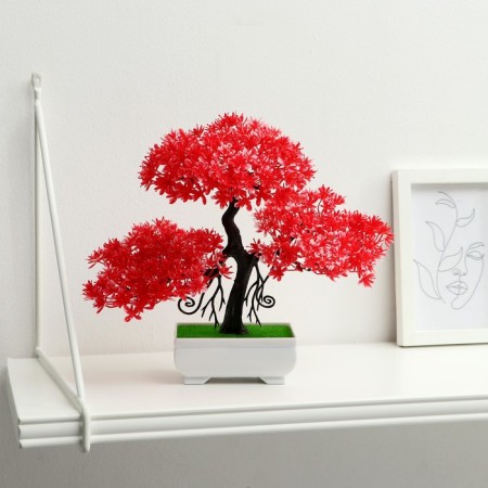 Bonsai in the pot "Push Tree" 10x23 cm, mix