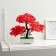 Bonsai in the pot "Push Tree" 10x23 cm, mix