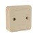 UNIVERSAL Olympus switch, 10 A, 2 keys, external, backlight, pine color