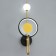 Bra "Lorry" LED 50W 3000-6000K black and gold 20x11x57 cm