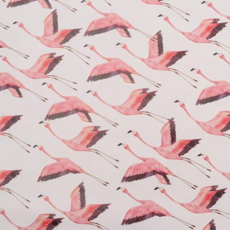 Paper Glossy double -sided "Flamingo", 70 x 100 cm-1