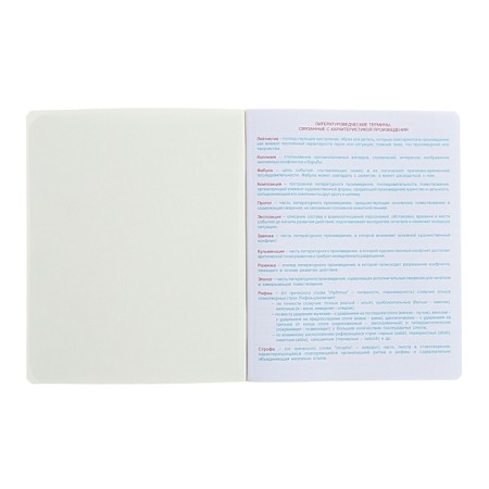 A notebook “Hints”, 48 sheets in a ruler, “Literature”, coated cardboard, matte lamination, Touch varnish, OFSET block-2