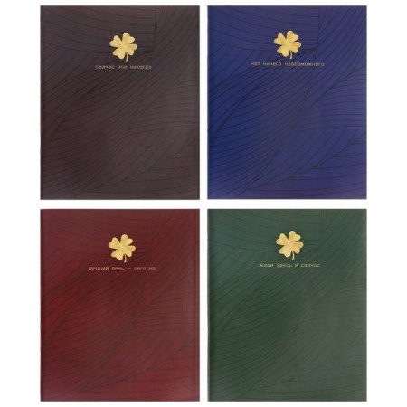 Notebook of 48 sheets in the Four-leafer cage, cover coated cardboard, VD-LK, OFSET block, 4V MIX