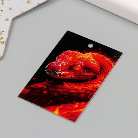 Cardboard "Fiery Snake" set 10 pcs (5 types) 4x6 cm-3