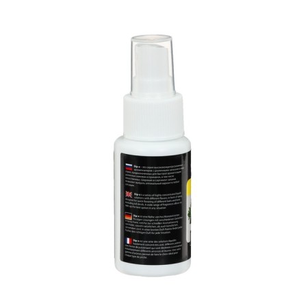 ALLVEGA DIP-X GARLIC, garlic, 50 ml flavoring-1