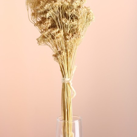 Set of dried flowers "yarrow", banch length 60 (+/- 6 cm), bleached-1