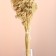 Set of dried flowers "yarrow", banch length 60 (+/- 6 cm), bleached