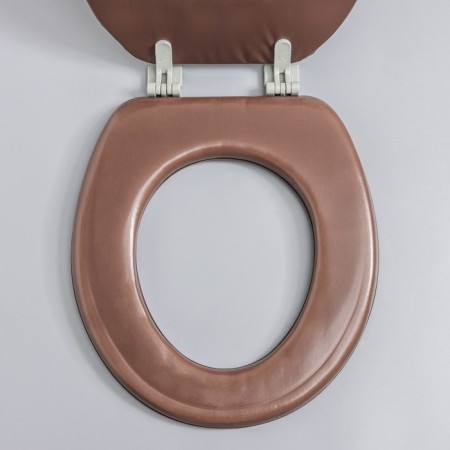 A toilet seat with a lid, soft, brown color, mix drawing-1