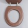 A toilet seat with a lid, soft, brown color, mix drawing