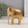 Polystone souvenir "Abstraction. Golden Elephant" 10.8x8.2x11.7 cm
