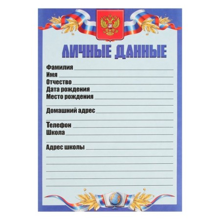 Lesets sheets for a schoolboy portfolio, 30 sheets (title, content, 28 sections) "Russian schoolboy", in a folder-26
