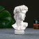 Kashpo - organizer "Bust David" Pearl, 9x17x8.5cm