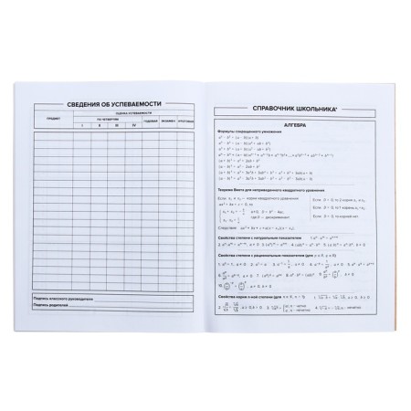 Universal Diary Grade 1-11, 48 sheets "Dancer", soft cover, selective UV-lame, matte lamination-8