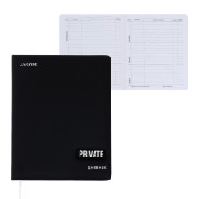 Universal diary for grade 1-11 Private, hard cover, artificial leather, liesse, 80 g/m2