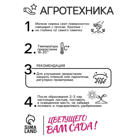 Kotovnik seeds "Dream Interpretation", 0.1 g-3