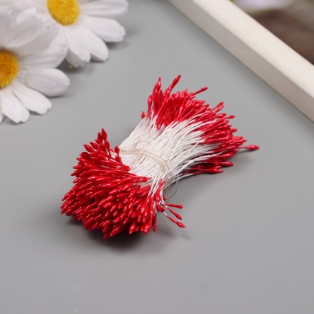 Stamens for artificial flowers gloss "risinki" Red set 360 pcs length 6 cm-1