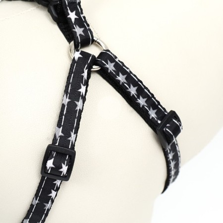 The ammunition set is two-layer, size S, leash 120 x 1 cm, ok 24-38 cm, og 29-41 cm, stars 9683-6