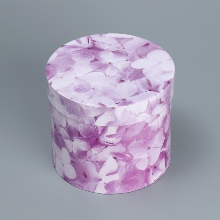 A set of hats for colors 4 in 1, gift packaging, Lavender, 14 x 13 cm - 20 x 17.5 cm-8