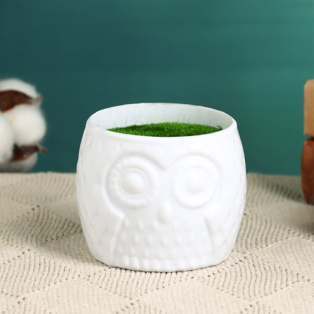 Floristic pot "Council" white, 6.5x6.5x6cm-2
