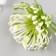 Artificial plant for creativity "Vyzhel" set of 5 pcs 9x6x6 cm