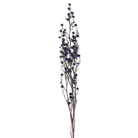 Dry flowers “Molokhay Mile”, 25 g, length - 70 cm, purple color-2