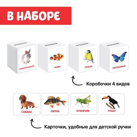 Porter-cap "Animals" according to the methodology of G. Doman-3