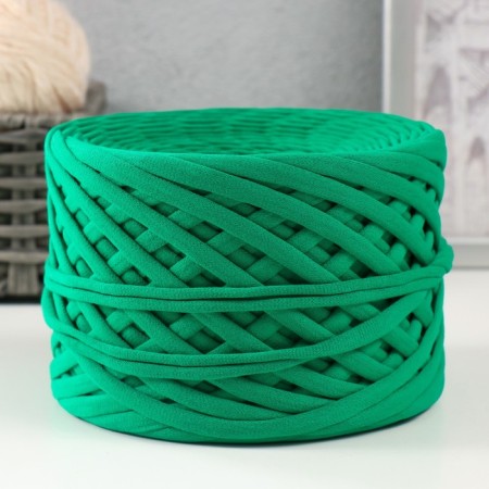 Knitted yarn, width 7-9 mm, 100m/295 gr ± 10% (22 - kiwi)