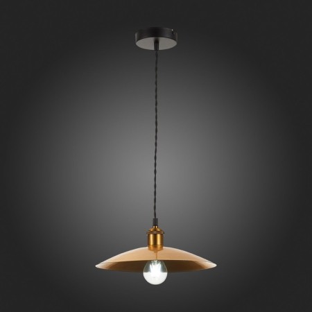 Suspension lamp ST LUCE. SL1017.203.01. Romo. 1x60 W, E27, 30x30 cm, black color-2